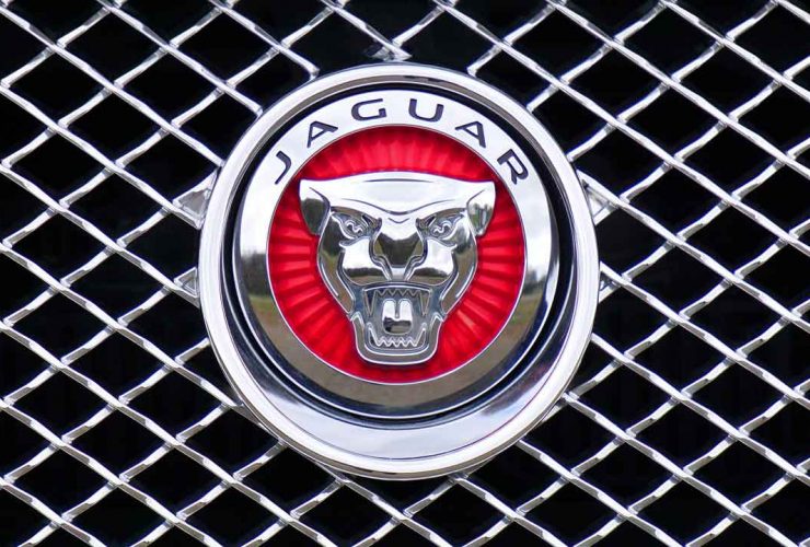 jaguar