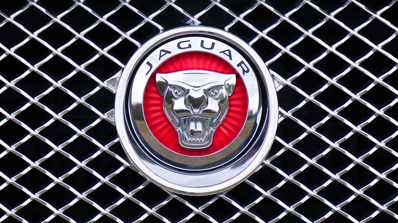 jaguar