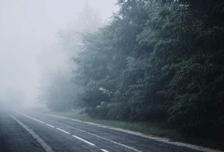 guidare nella nebbia